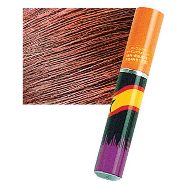 インターコスメ ファンシーメッシュ イリューミンレッド 25g