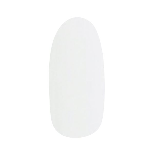プリジェル カラー EX PG-CE110 白 4g
