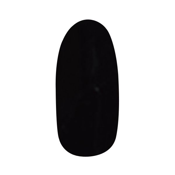 プリジェル カラー EX PG-SE111　黒 4g