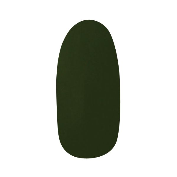 パラジェル アートカラージェル AMD34 オリーブグリーン 4g