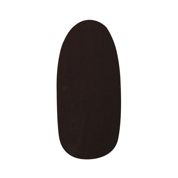 パラジェル アートカラージェル AMD35 ディープブラウン 4g