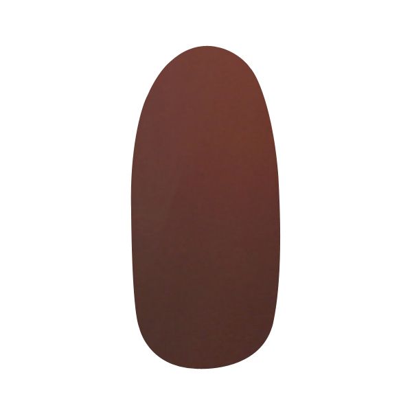 パラジェル アートカラージェル AMD36 ココアブラウン 4g