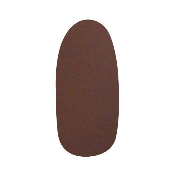 ネイリティー ジェルネイルカラー ダークブラウン 4g