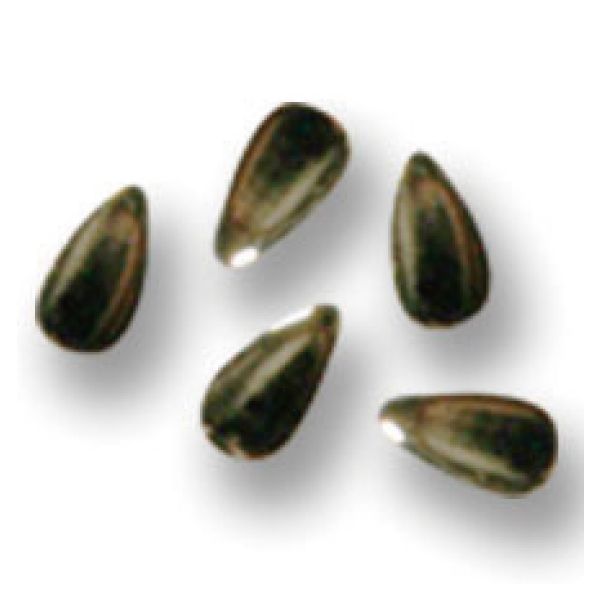 シャレドワ メタルドロップ ゴールド