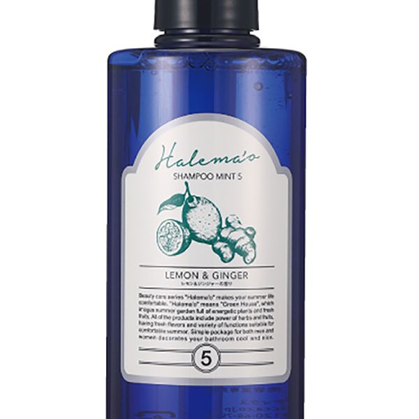 ミント　５点セット Amazon | トンボ(Tombow) 修正テープ MONO モノエアー つめ替え