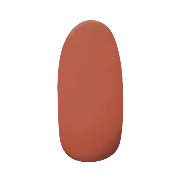 プティール カラージェル 290 レッドソイル 2g
