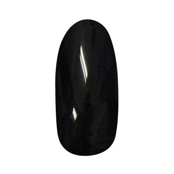 プリジェル カラー EX PG-CE249 漆黒 4g