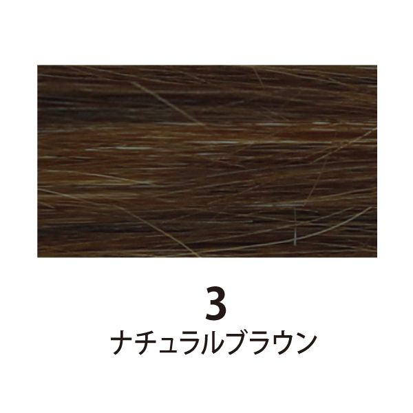 ヒューマンヘアシールエクステ ダークカラー 10シート(20本分) ナチュラルブラウン 3 45cm