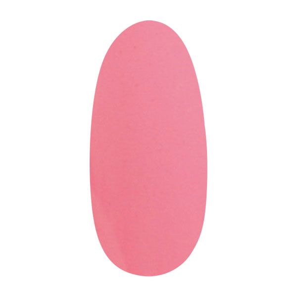 プリジェル ミューズ PGM-M028 コットンキャンディ 4g