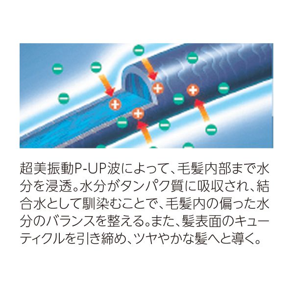 ピーアップ クレア カールドライヤー (350W)の通販情報 - 美通販【公式