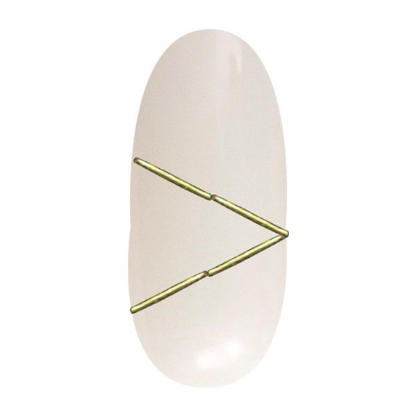 ボンネイル ゴールドスティックセット