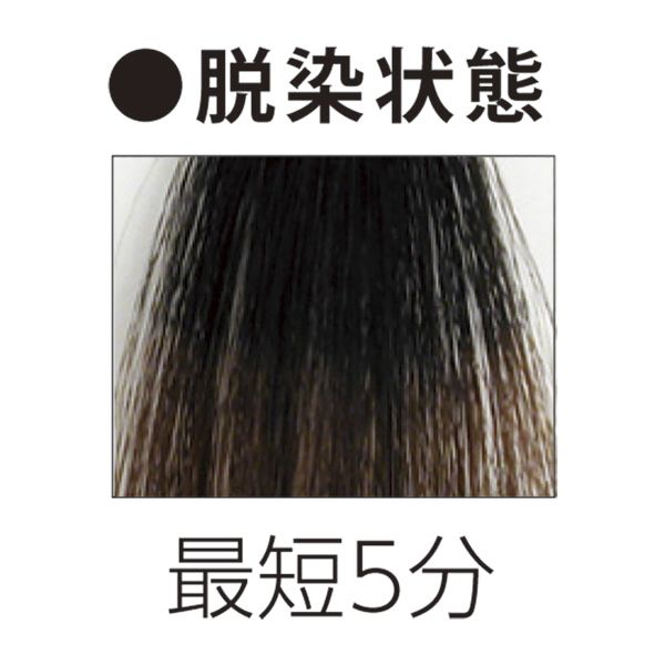 イリヤ ビビッドバレイ ハイブリーチセット 10g×5袋＋オキシジェント