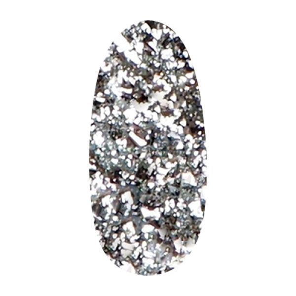 ネイリティー ジェルネイルカラー プルミエールシルバー 4g