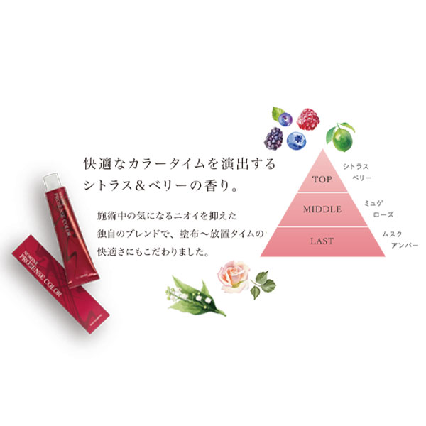 ノミネ プロセンスヘアカラー NBr5 120g | 美通販 www.bitsuhan.com