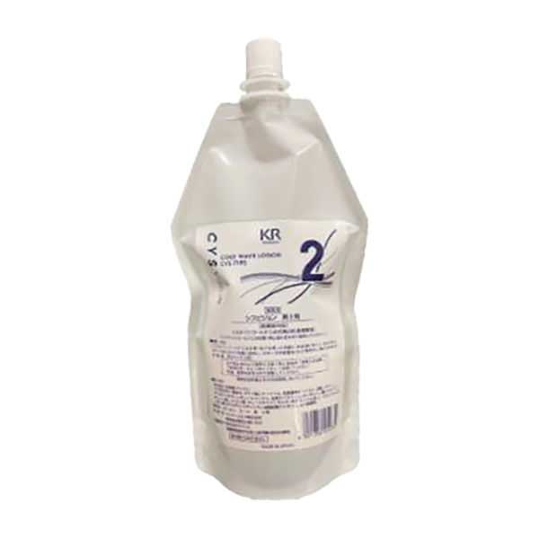 インターコスメ シスビジョン 2剤 480ml