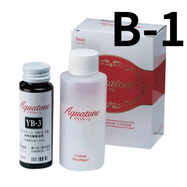 ホーユー アクアトーン B-1 (40ml+80ml)（サービス）