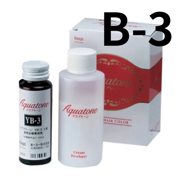 ホーユー アクアトーン B-3 (40ml+80ml)（サービス）