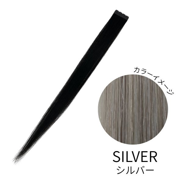 シールエクステンション BEST HAIR SILVER (レミー毛100％・53cm・40束・40束）