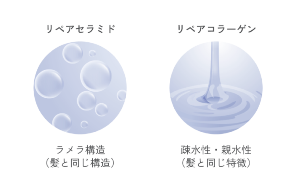 補修成分