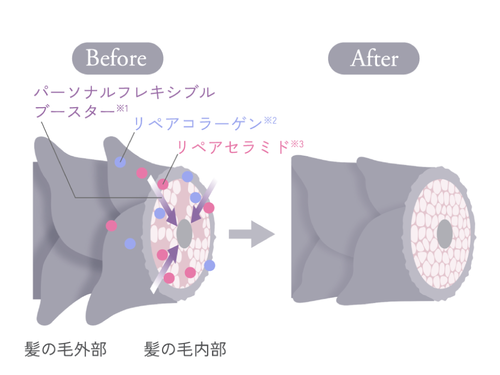 髪のbefore after