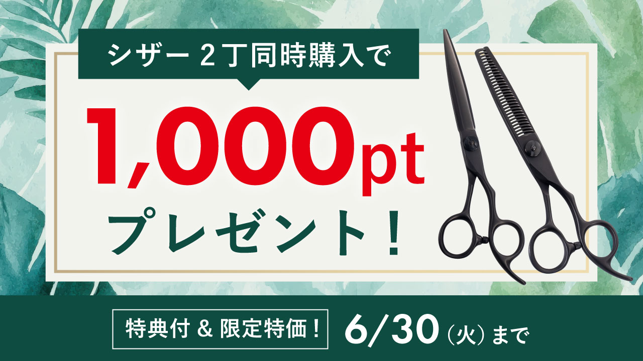 FVイメージ