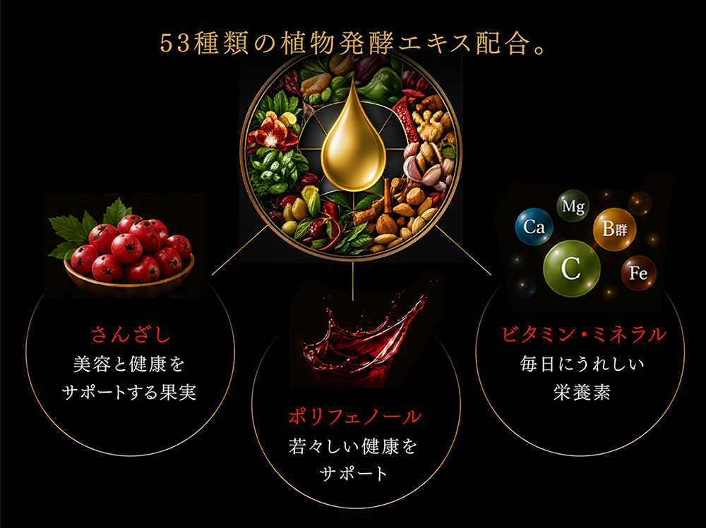 愛される理由の図説