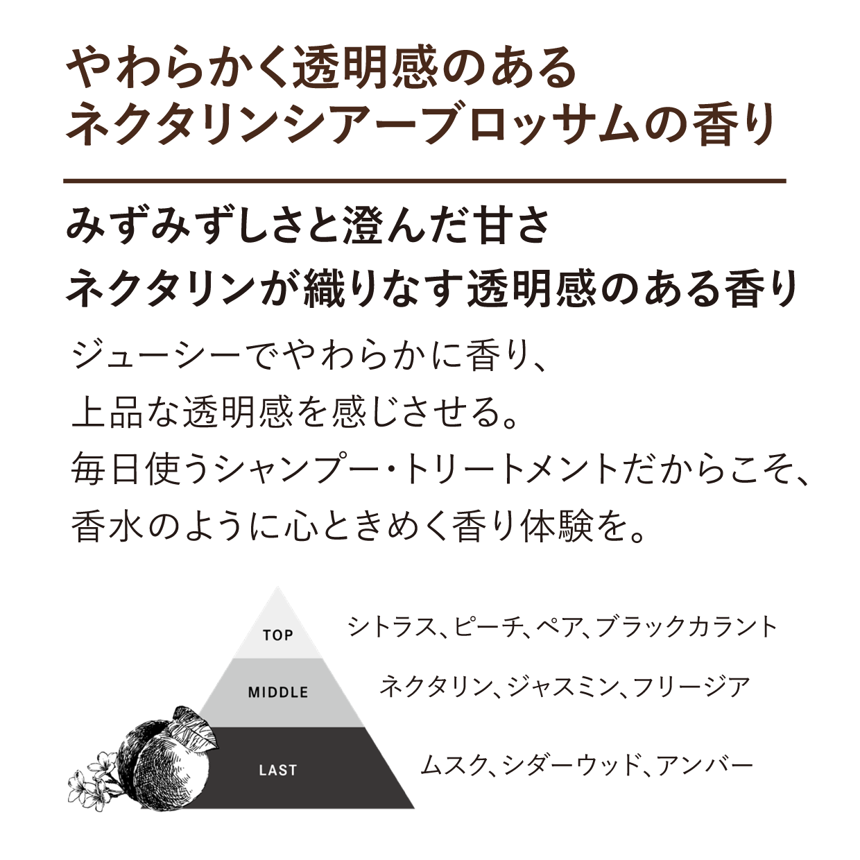 ExVシリーズの説明