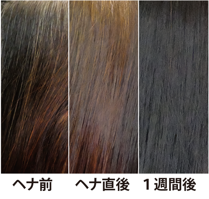 ヘナ後3日から色が定着する