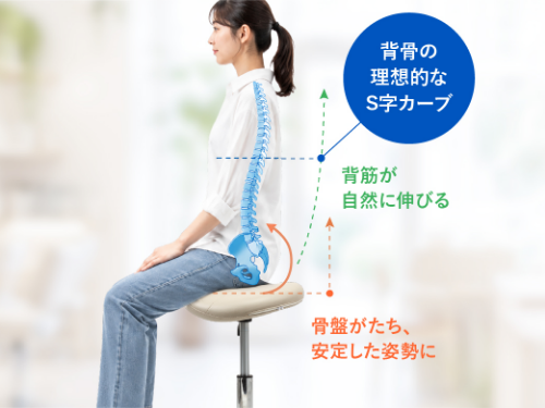 背筋解説
