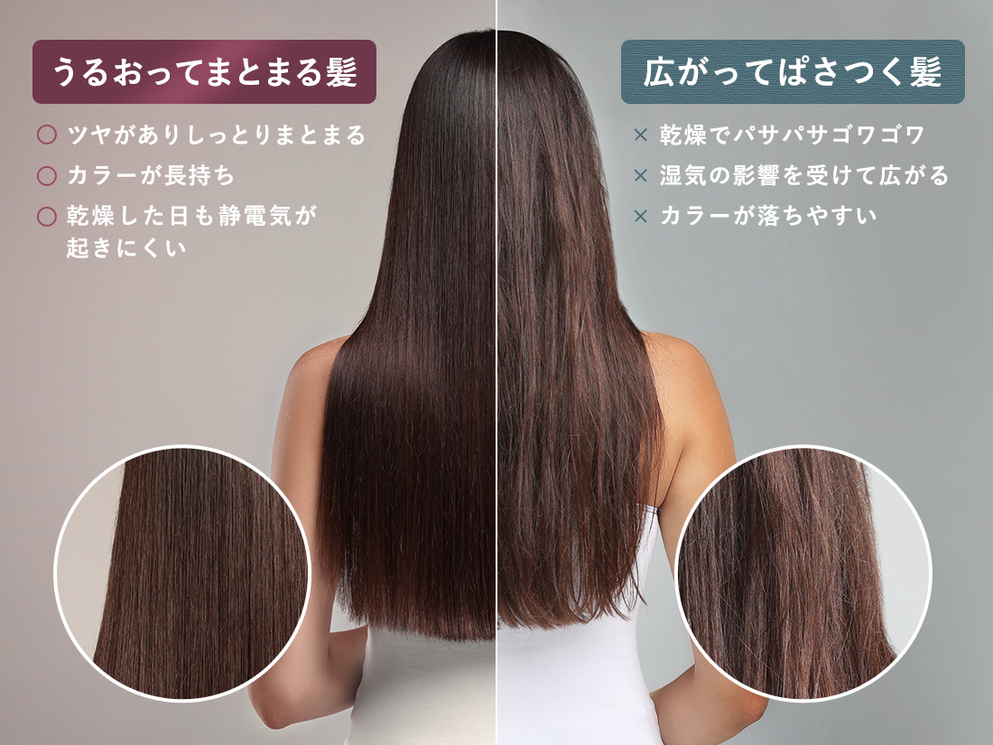 プラズマイオン機能