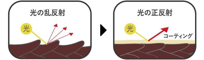 プロテシルLH