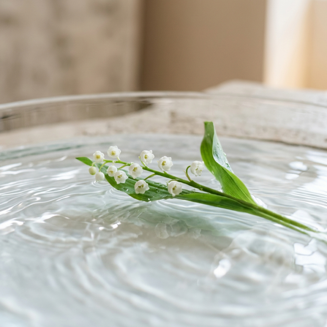 シアーフローラル＆ミュゲの香りイメージ