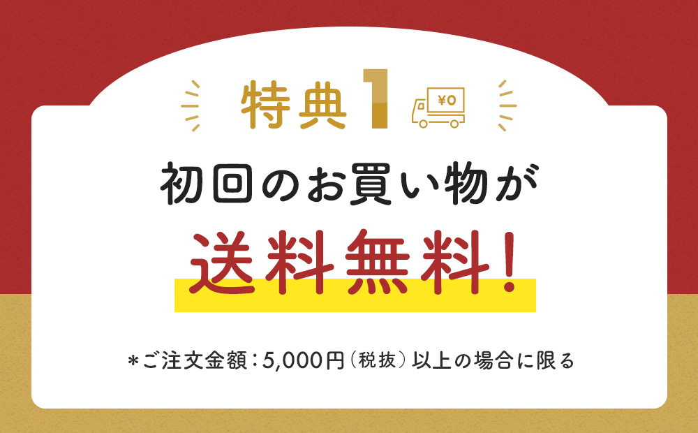 初回注文送料無料