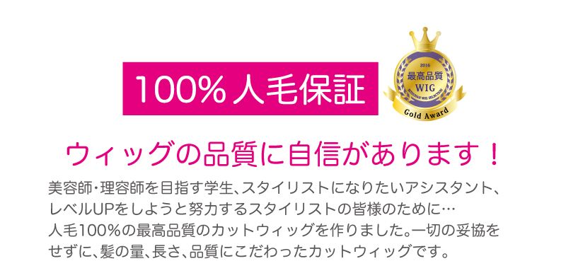 理容用国家試験練習用メンズウイッグHS-01(メイク有りタイプ・人